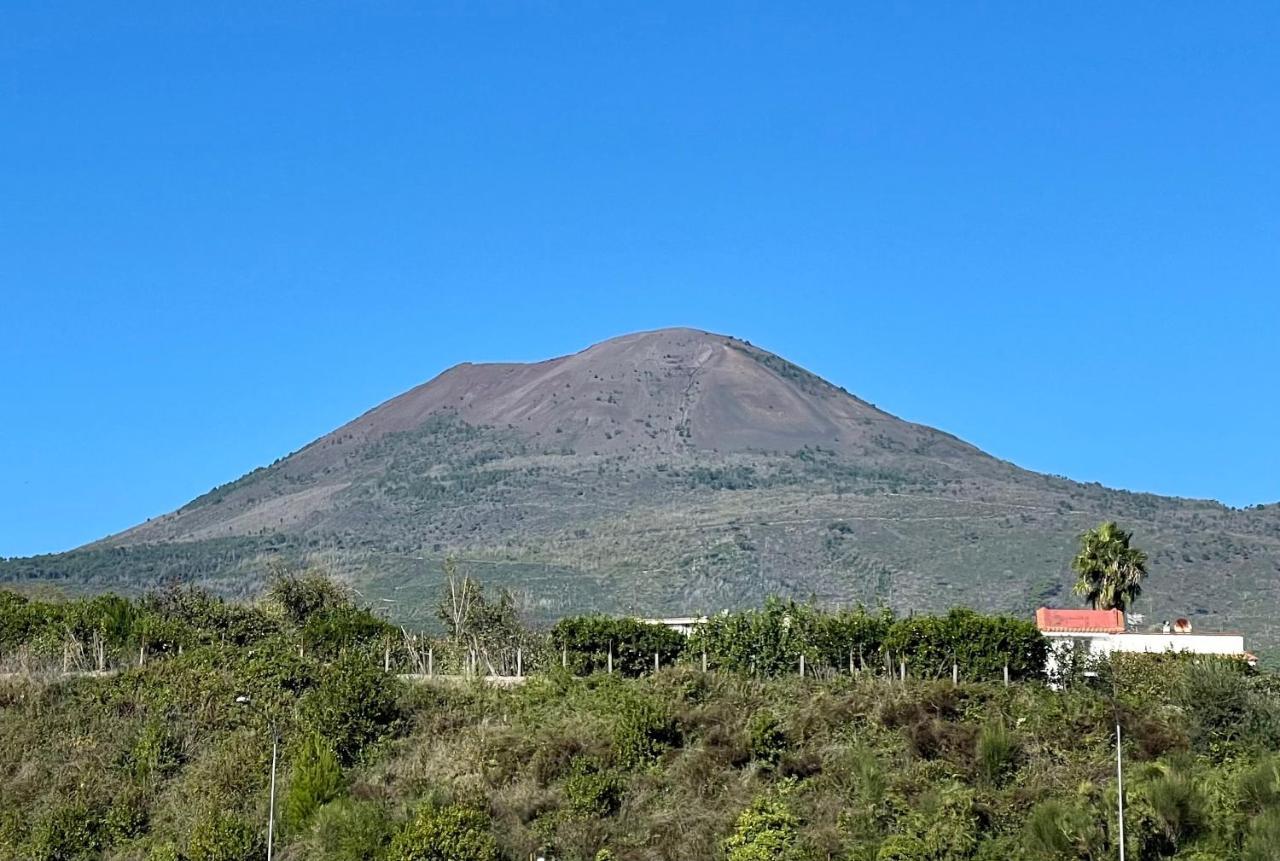 Il Cammeo Guest House, Near Pompeii And Vesuvius Apartment